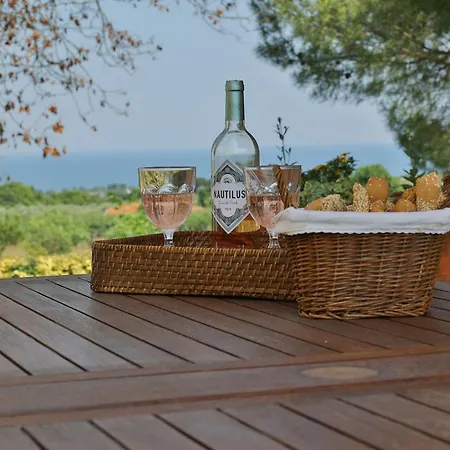 Οlives And Vines All Seasons Villa Litochoro Exterior photo