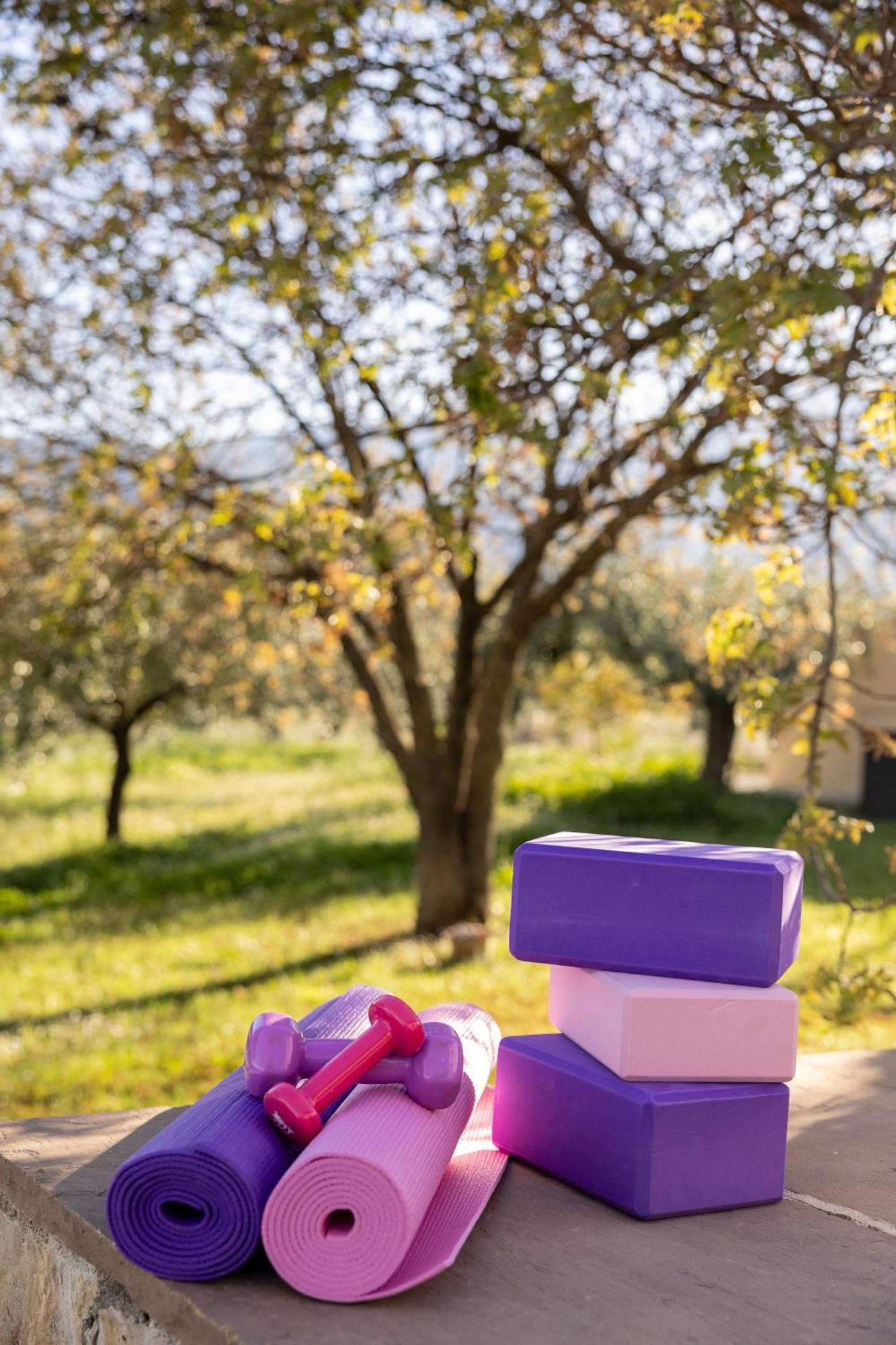 Villa οlives And Vines Seasons Litochoro