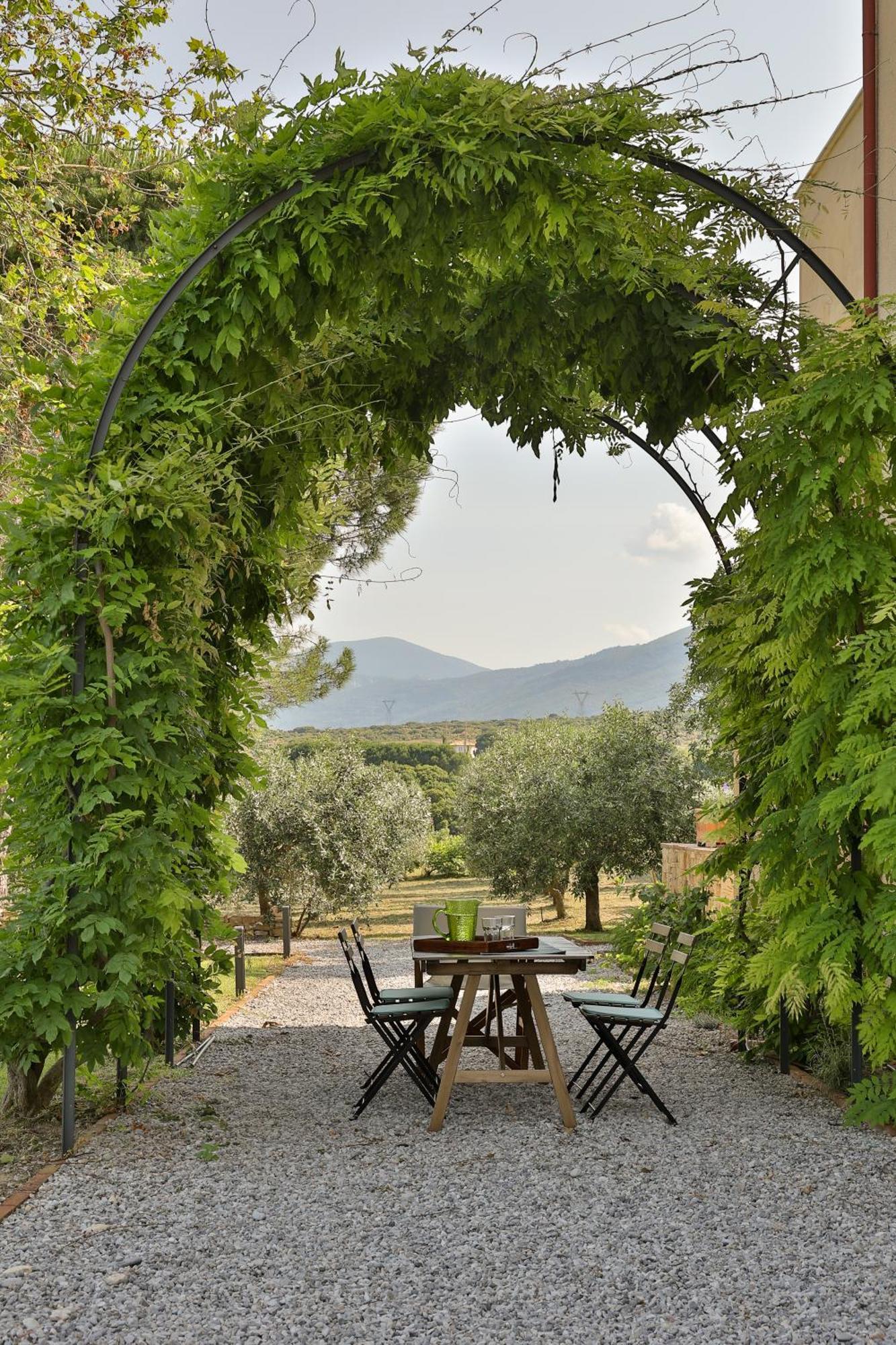οlives And Vines Seasons * Litochoro